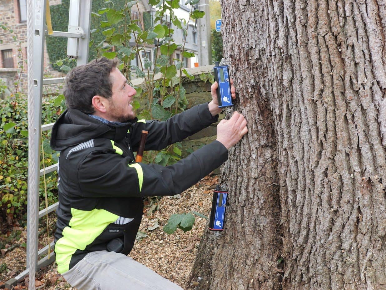 Élagueur conseillant un client sur ses arbres